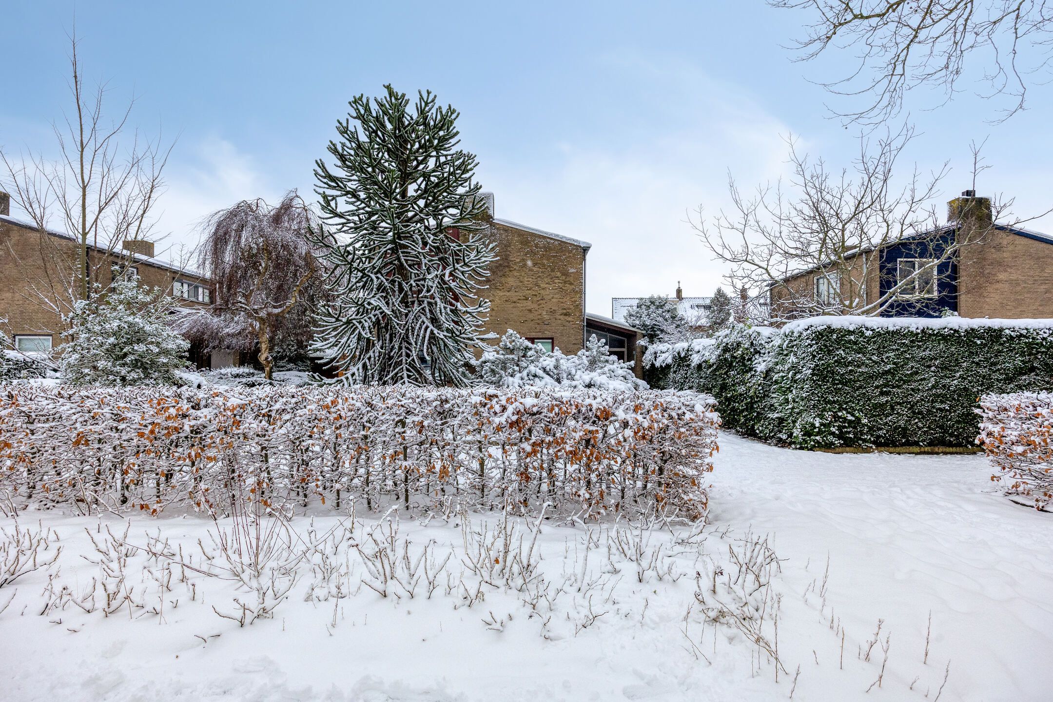 Foto 39 van Prins Hendrikstraat 71-B