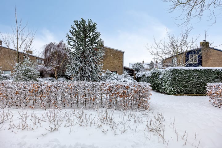 Foto 39 van Prins Hendrikstraat 71-B