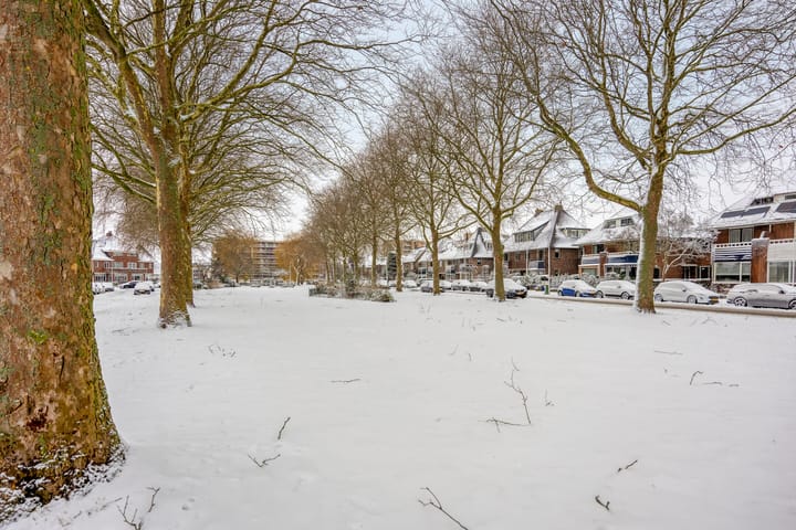 Foto 43 van Prins Hendrikstraat 71-B