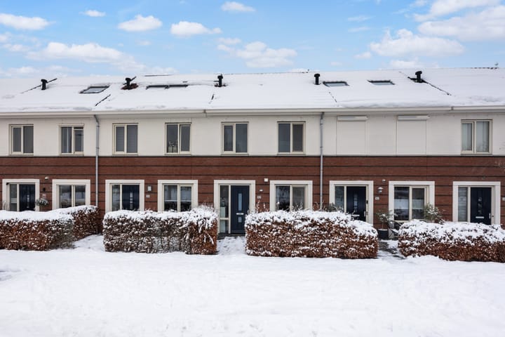 Foto 36 van Remus 162