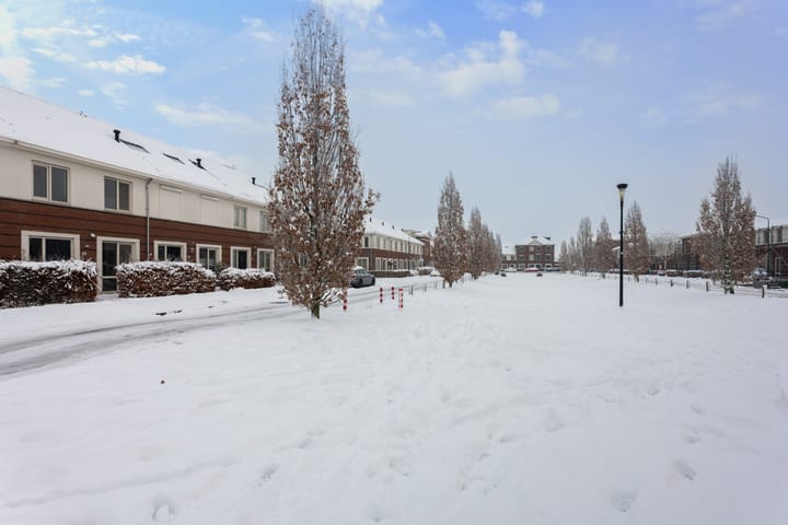 Foto 39 van Remus 162