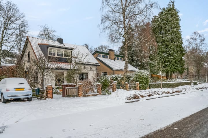 Foto 45 van Berkenlaan 25