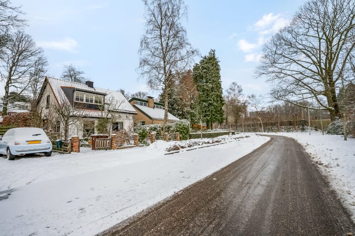 Foto 46 van Berkenlaan 25