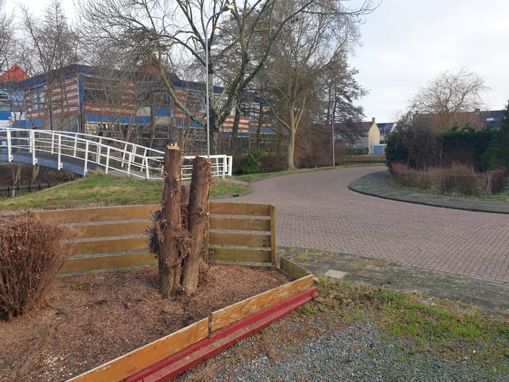 Foto 22 van Populierenlaan 2