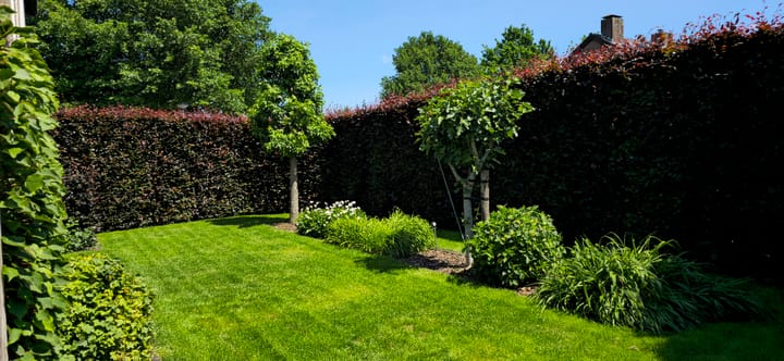 Foto 3 van Jan van Valkenburgstraat 20