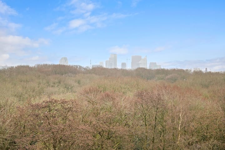 Foto 37 van Ruychrocklaan 422