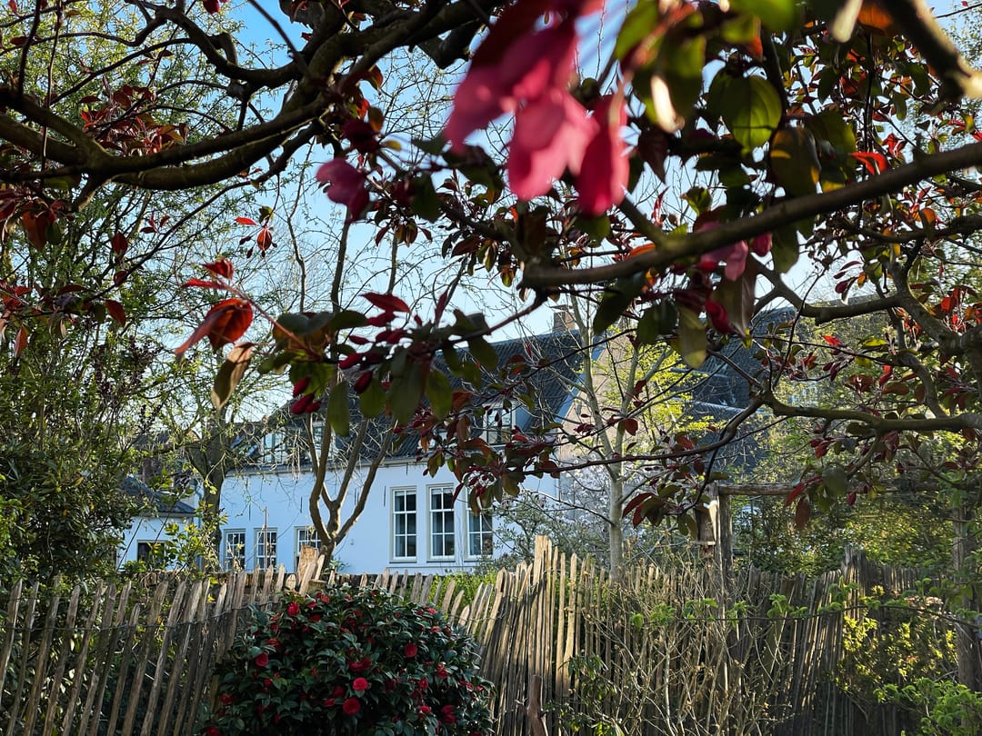 Foto 8 van Walplantsoen 18