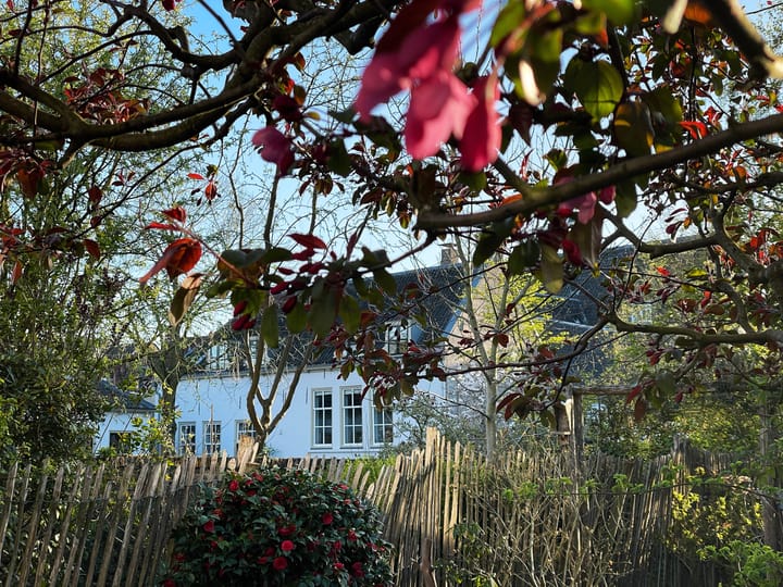 Foto 3 van Walplantsoen 18