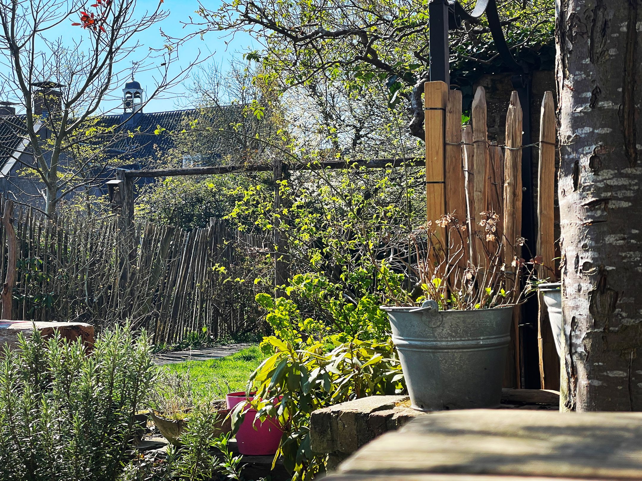 Foto 42 van Walplantsoen 18