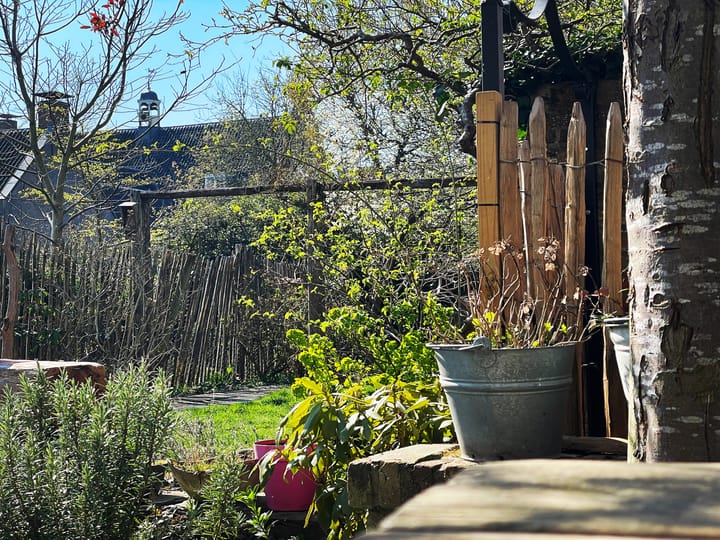 Foto 46 van Walplantsoen 18