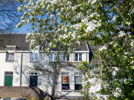 Walplantsoen thumbnail