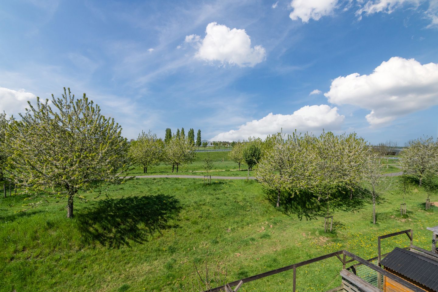 Foto 34 van Montreallaan 84