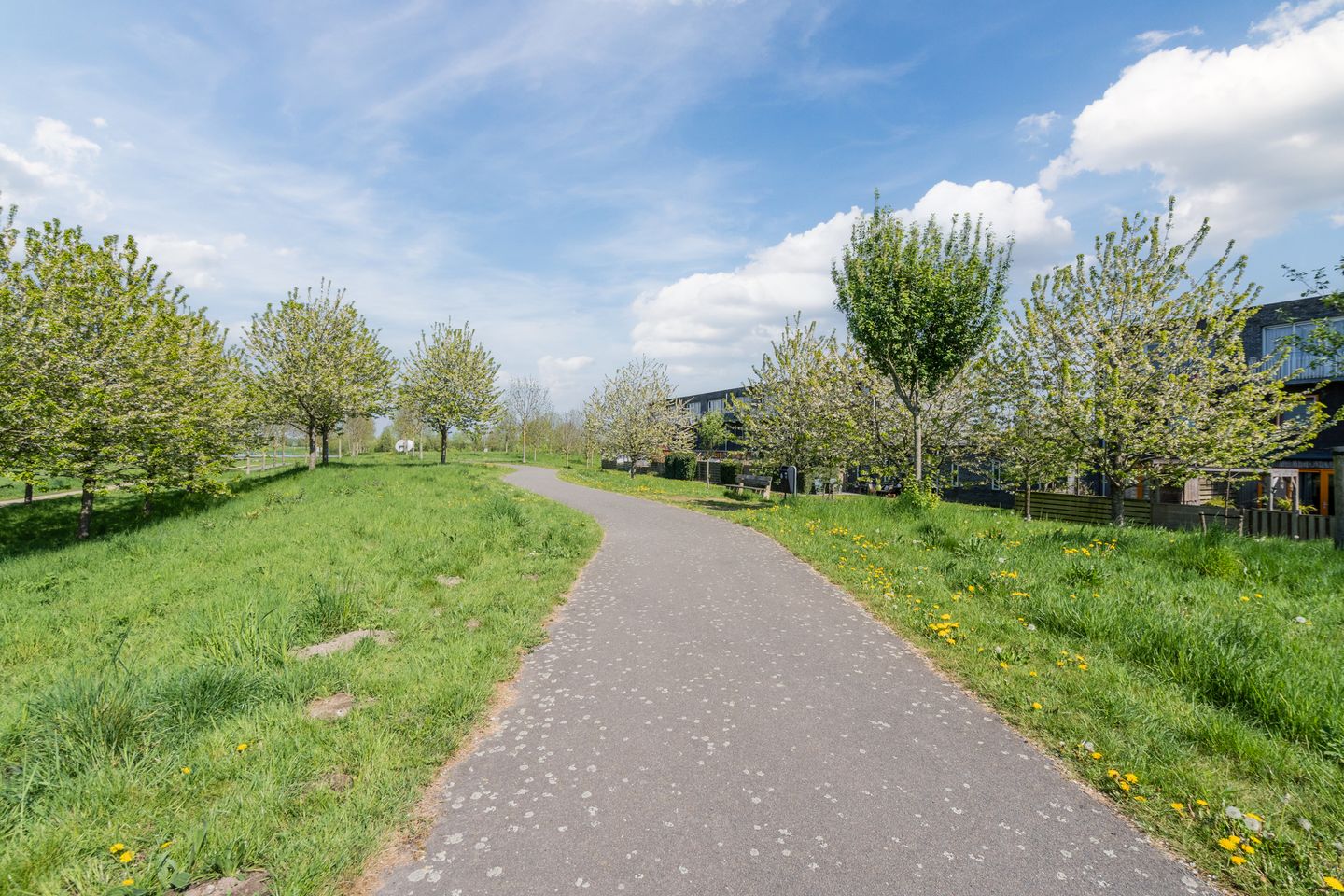 Foto 40 van Montreallaan 84