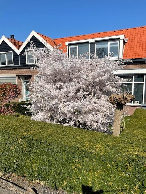 Foto 33 van Pruimendijk 109