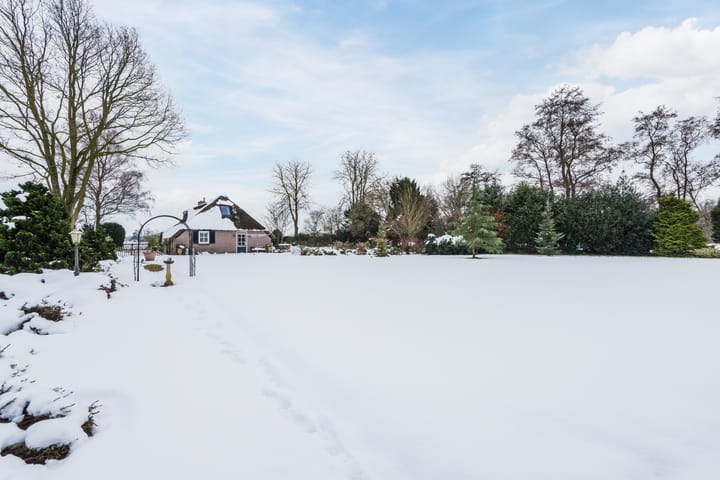 Foto 41 van Puntweg 5