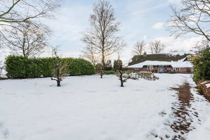 Foto 56 van Puntweg 5