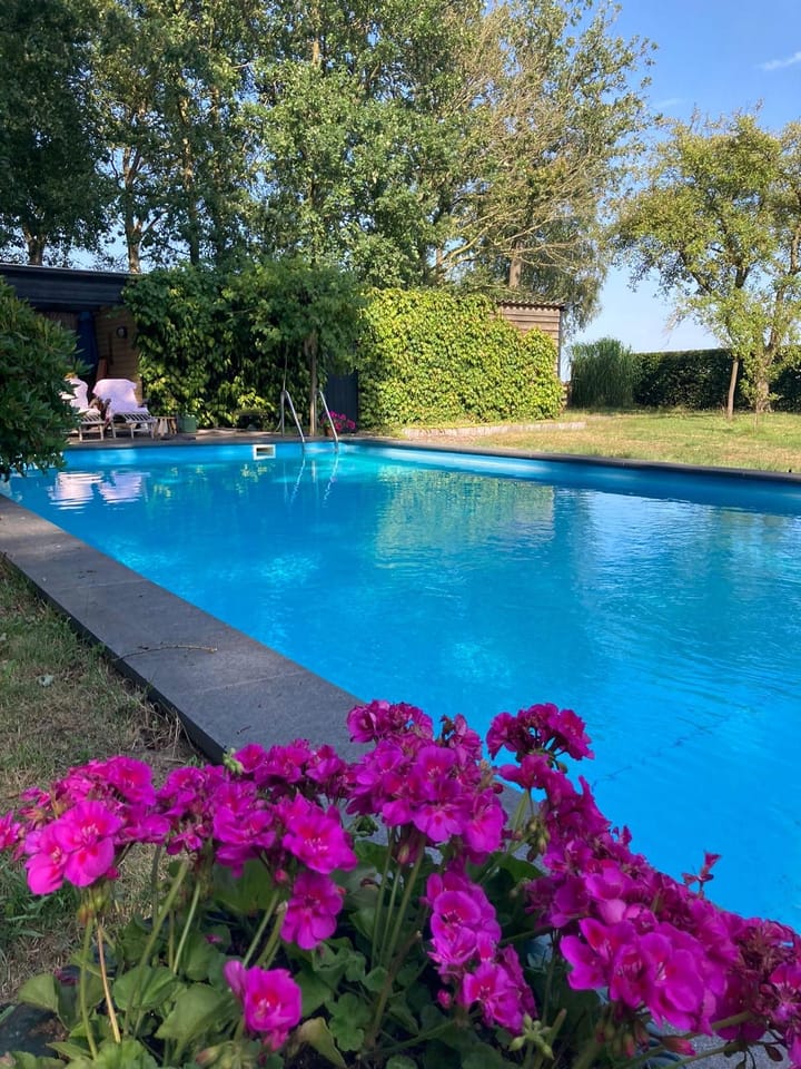 Foto 74 van Puntweg 5