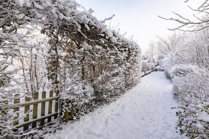 Foto 45 van Boslaan 18