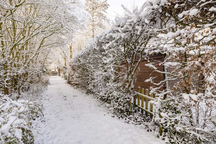 Foto 46 van Boslaan 18