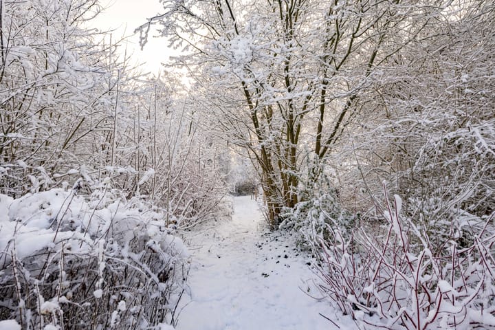 Foto 47 van Boslaan 18