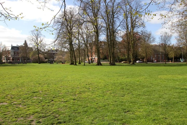 Foto 29 van Olieslagerslaan 58