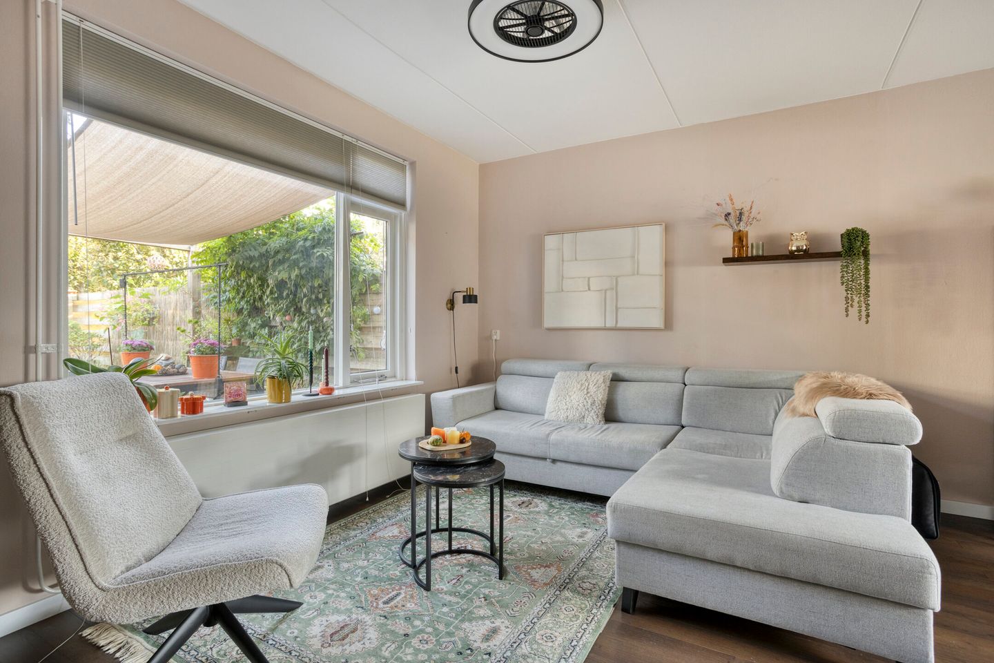 Foto 5 van Honingbij 10