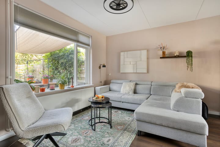 Foto 5 van Honingbij 10