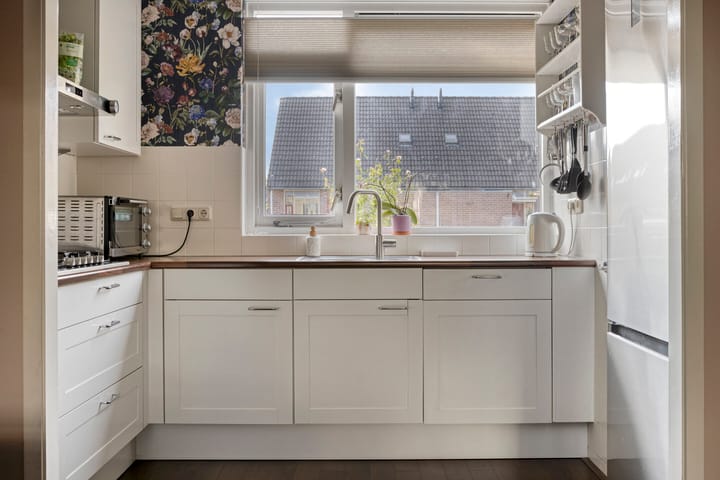 Foto 10 van Honingbij 10