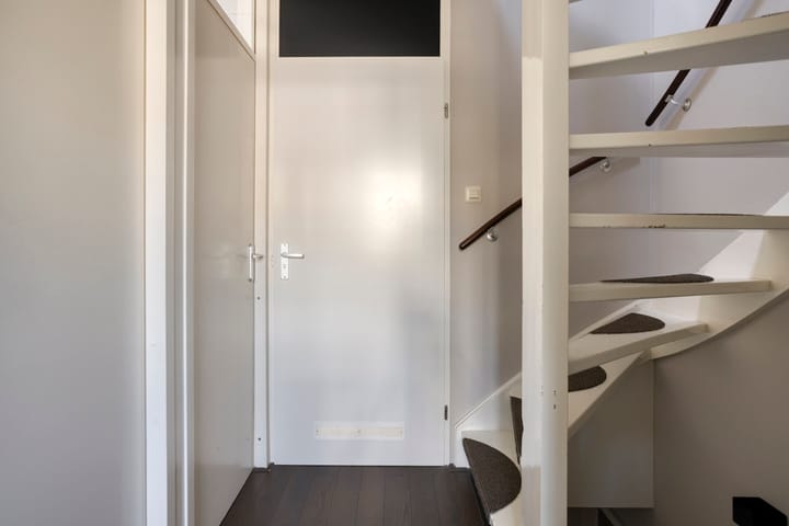 Foto 12 van Honingbij 10