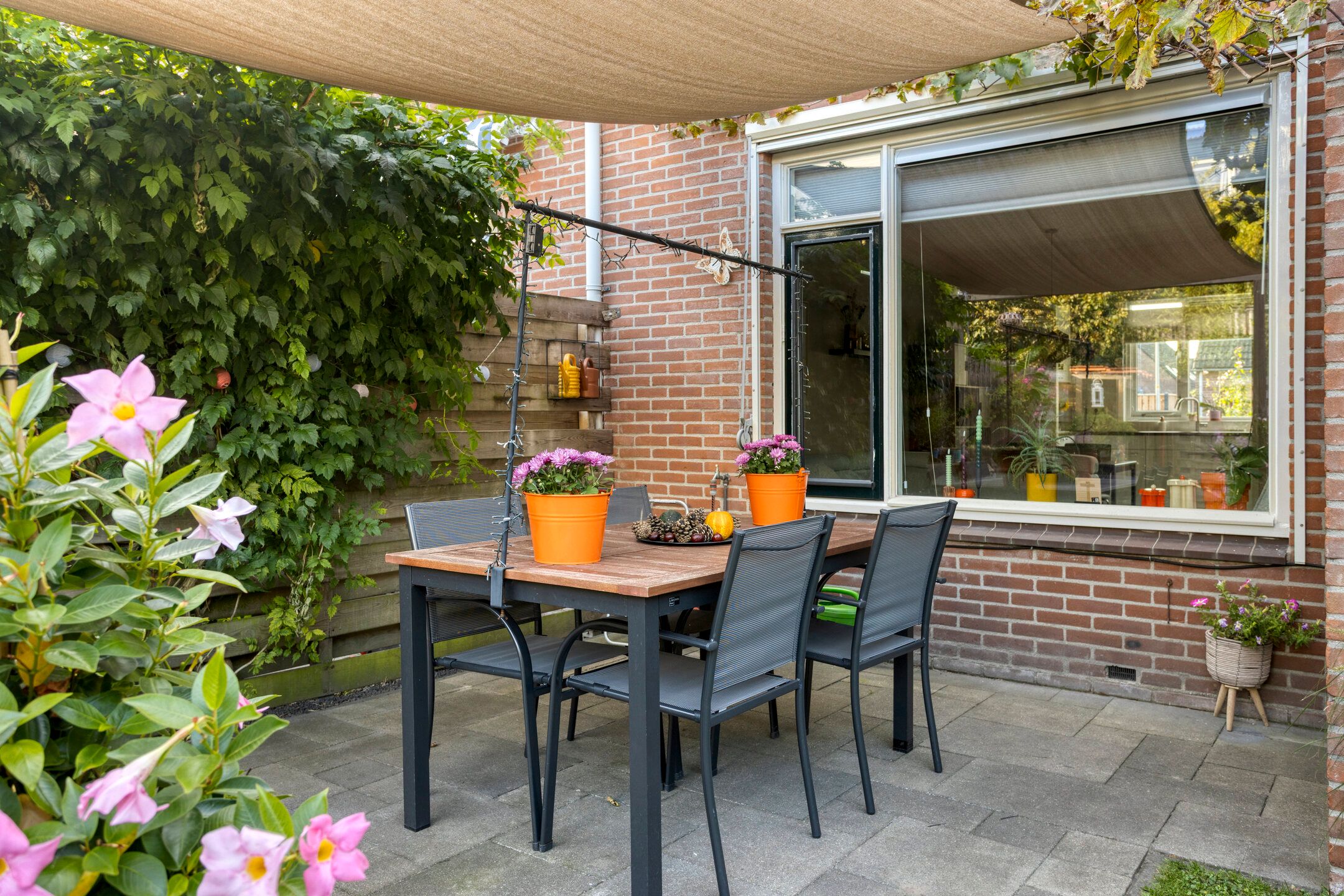 Foto 27 van Honingbij 10