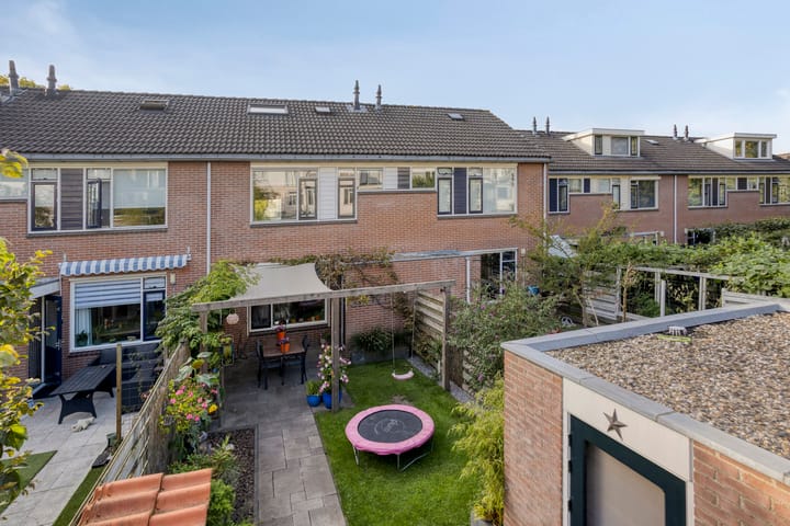 Foto 28 van Honingbij 10