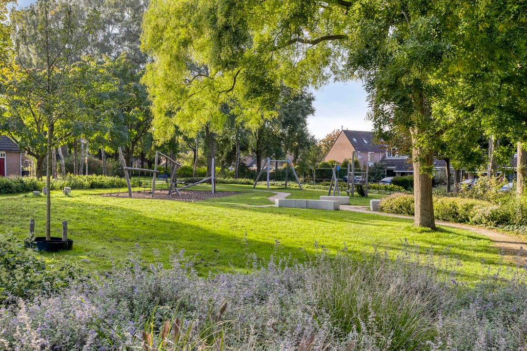 Foto 31 van Honingbij 10