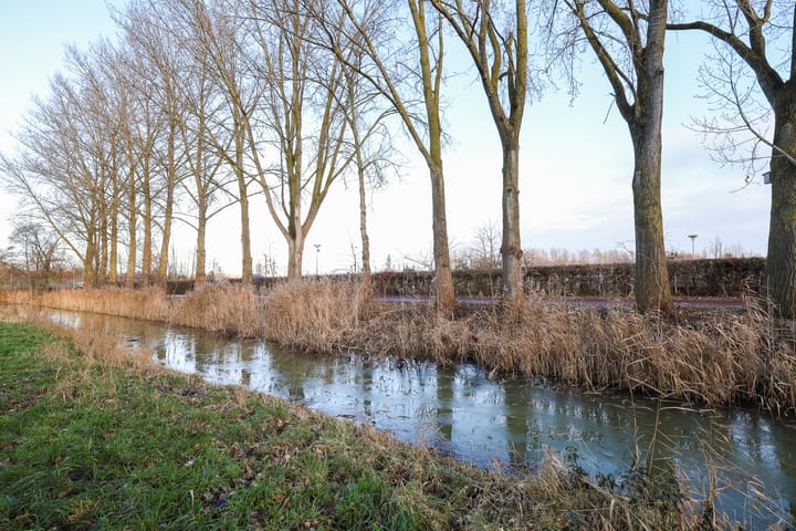 Foto 32 van Texel 83