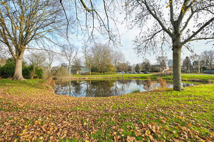 Foto 38 van Wilgendreef 43