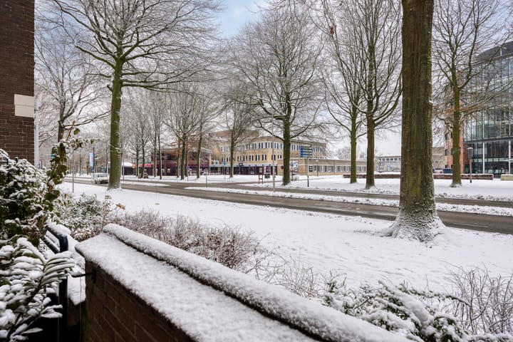 Foto 24 van Raadhuislaan 83