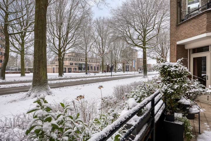 Foto 25 van Raadhuislaan 83