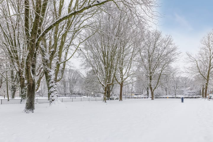 Photo 42 of Adriaen Beyerkade 2