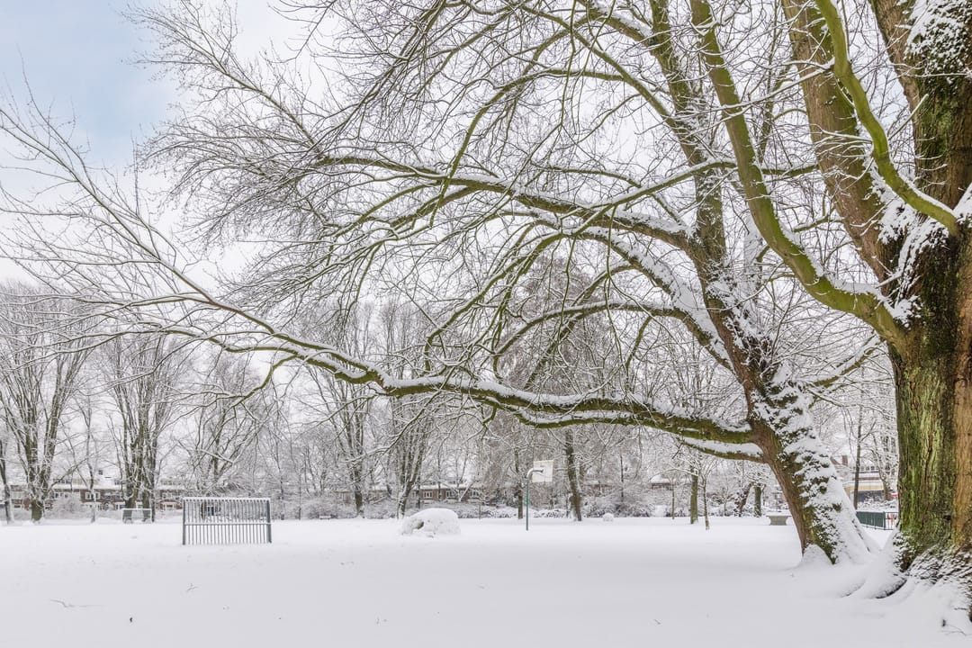 Foto 43 van Adriaen Beyerkade 2