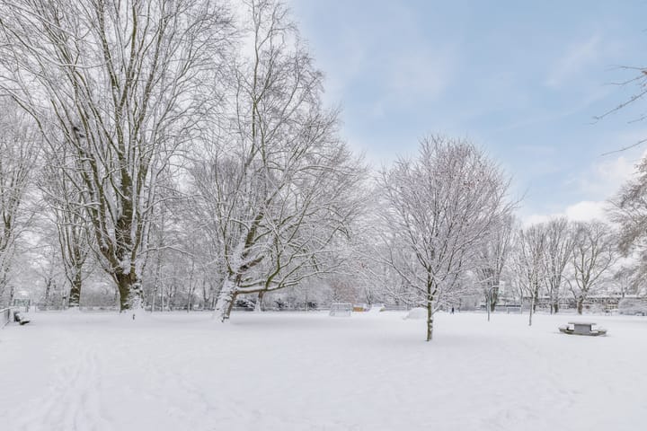 Photo 45 of Adriaen Beyerkade 2