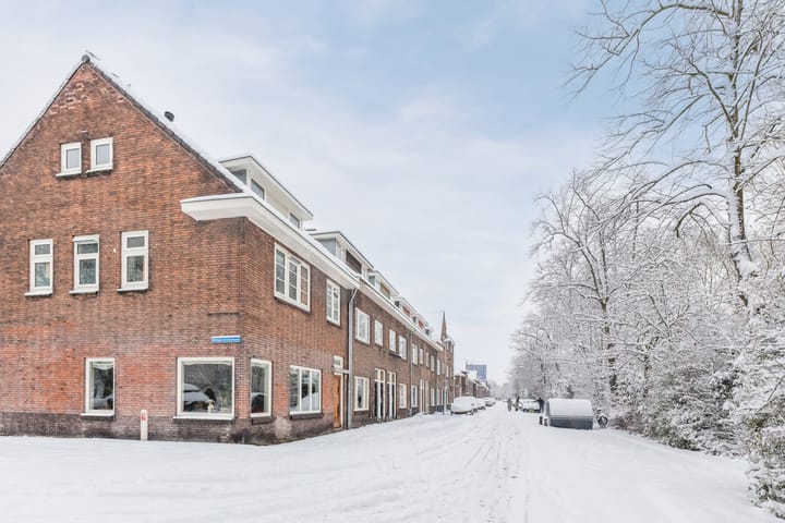 Photo 48 of Adriaen Beyerkade 2