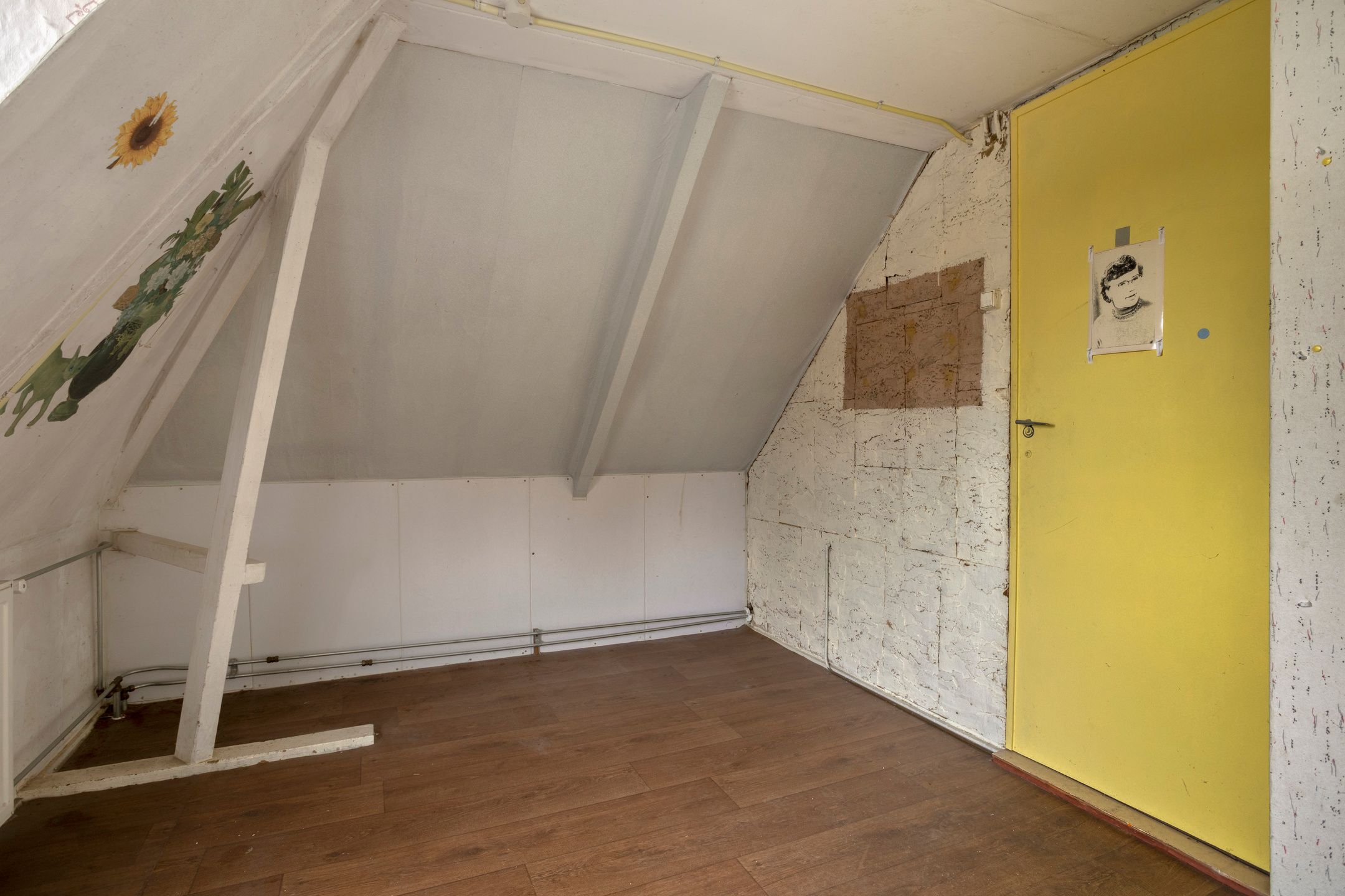 Photo 33 of Greveling 65