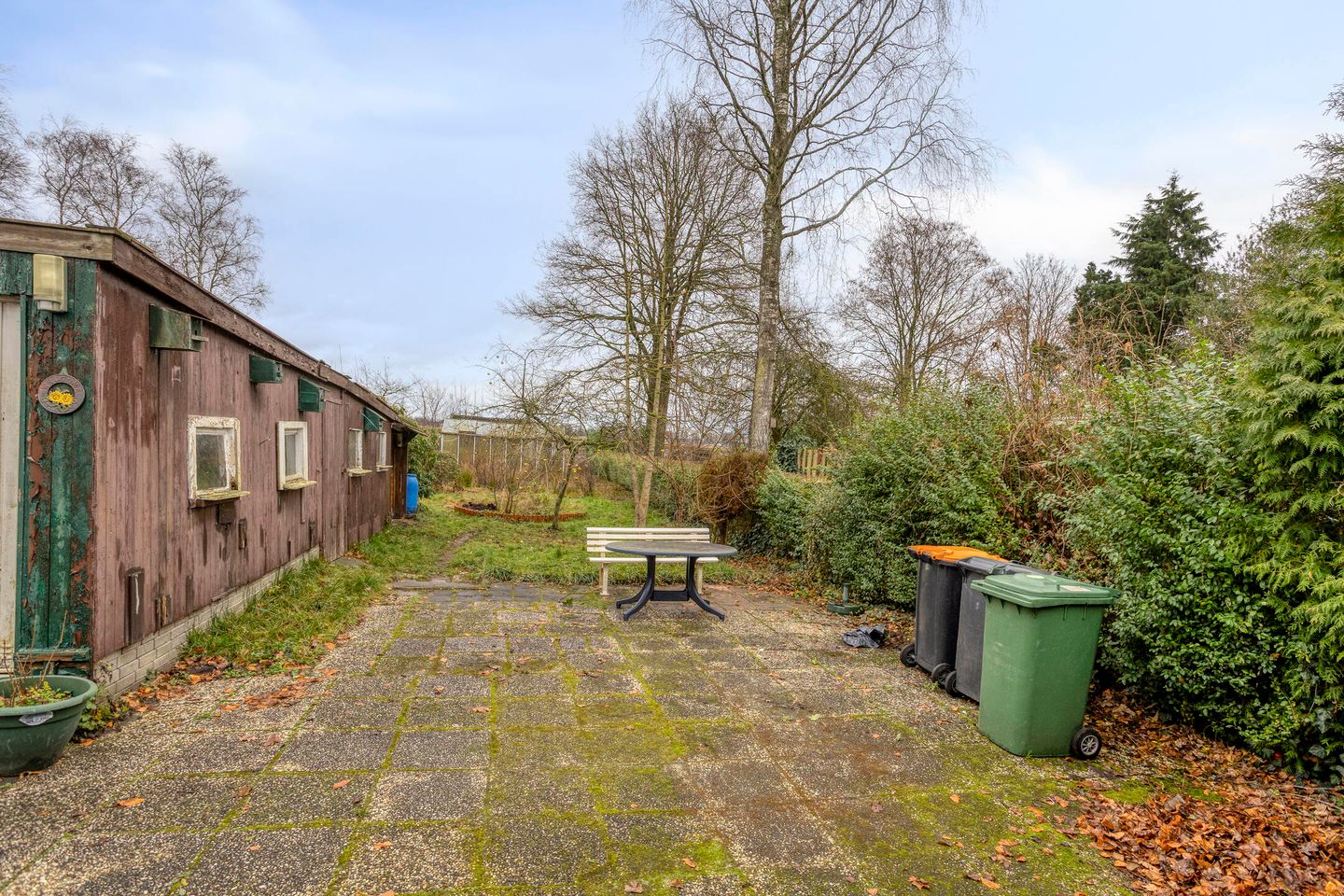 Photo 34 of Greveling 65