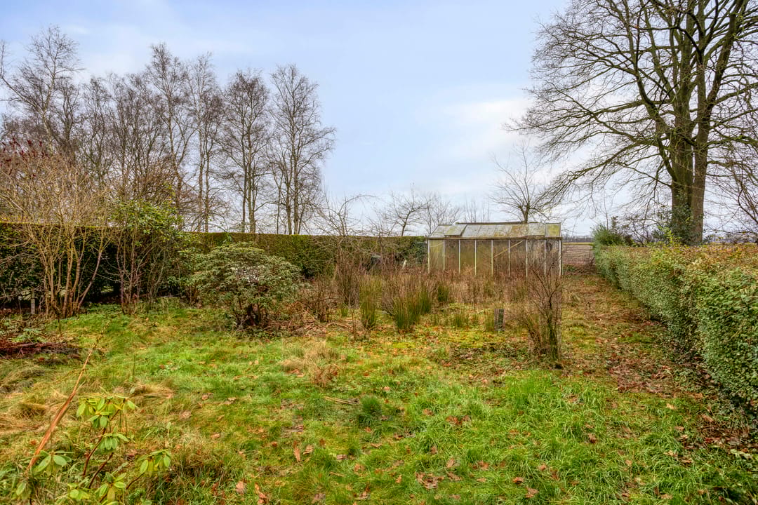 Photo 37 of Greveling 65