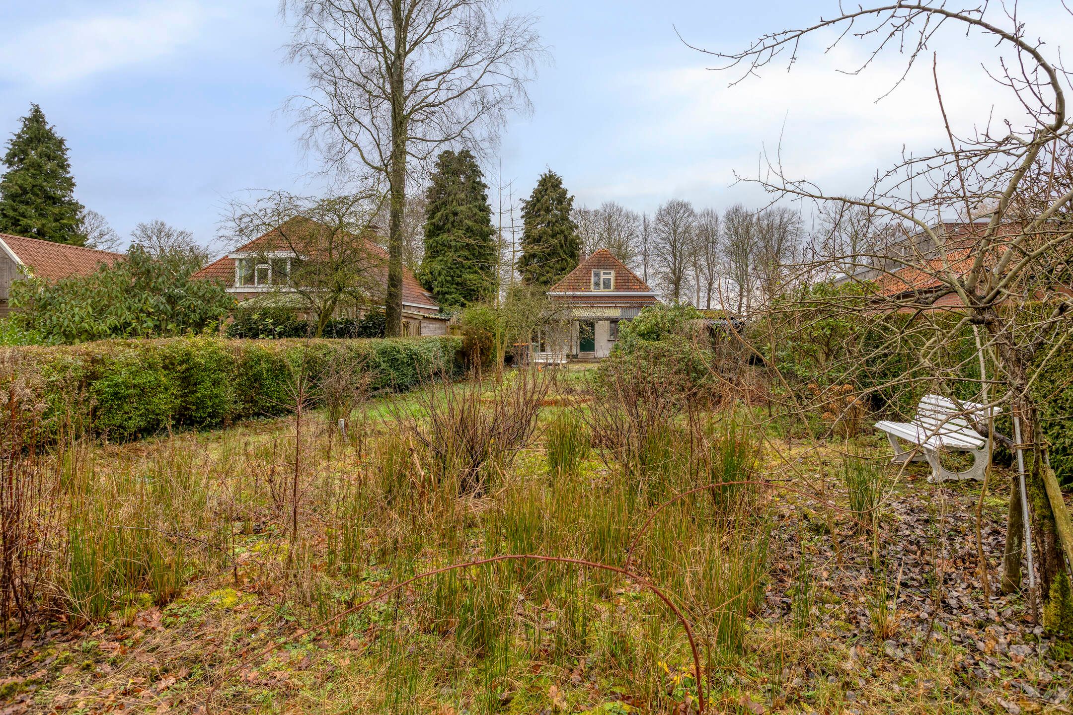 Photo 39 of Greveling 65