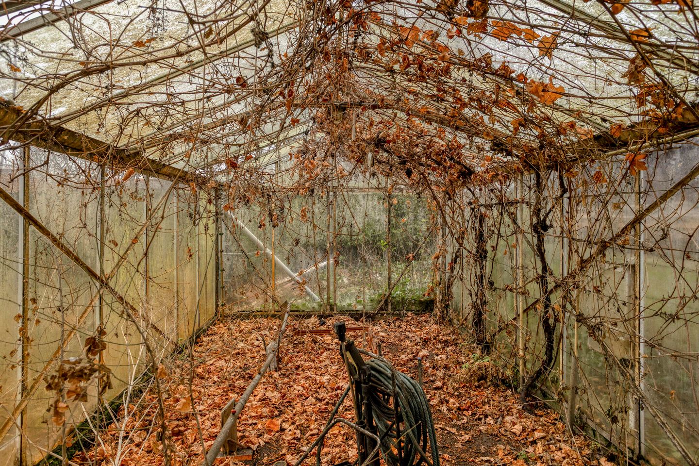 Photo 40 of Greveling 65