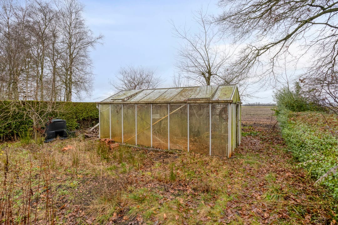 Photo 41 of Greveling 65