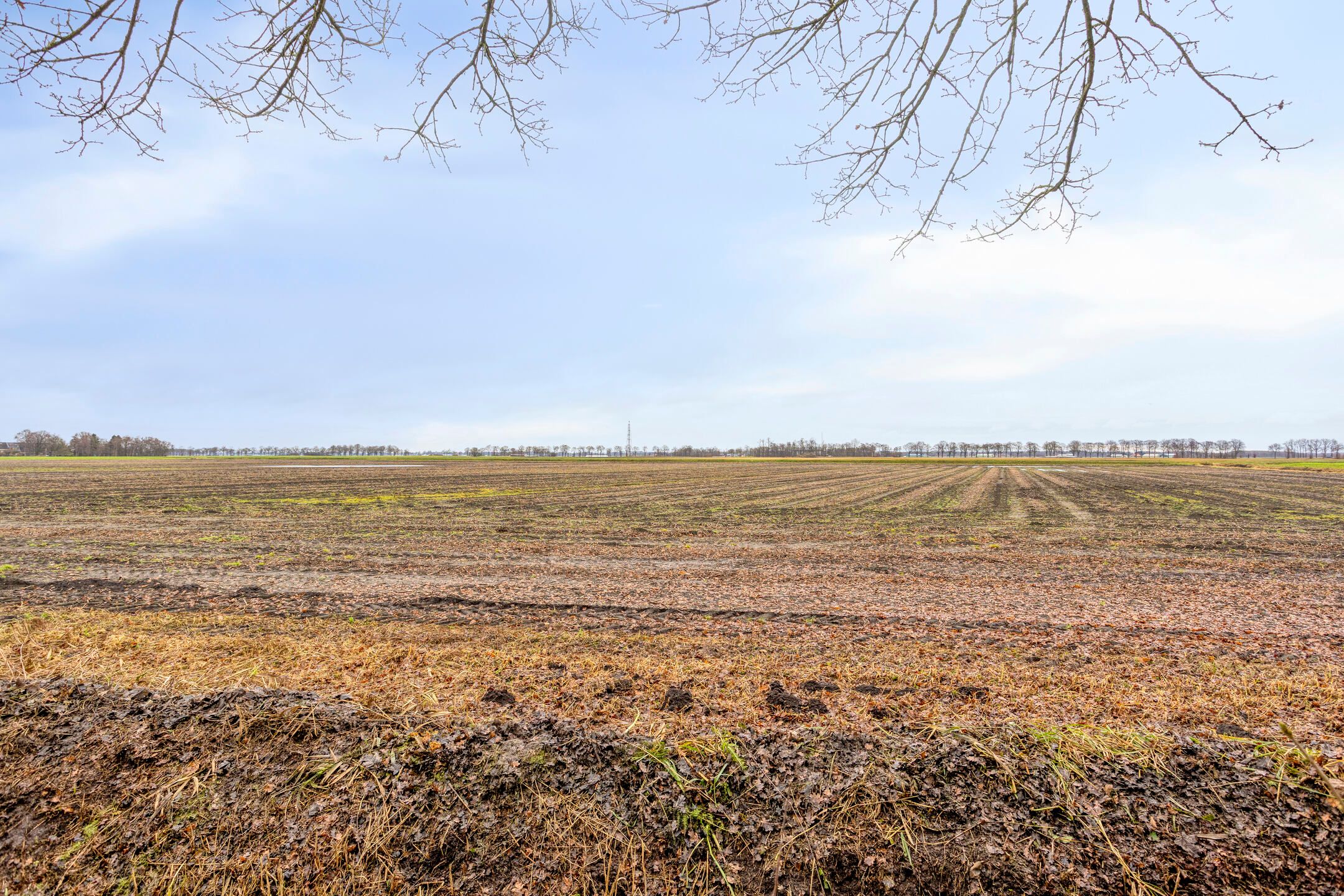 Photo 42 of Greveling 65