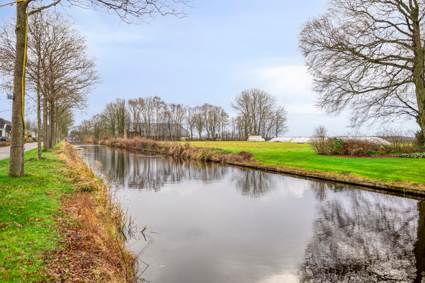 Photo 44 of Greveling 65