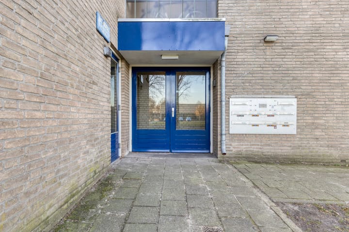 Foto 3 van Gender 23