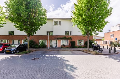 undefined main image